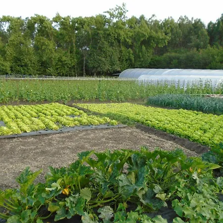 Rurales El Gobernador Lejlighed