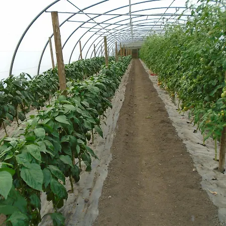 아파트 Rurales El Gobernador 비야비시오사